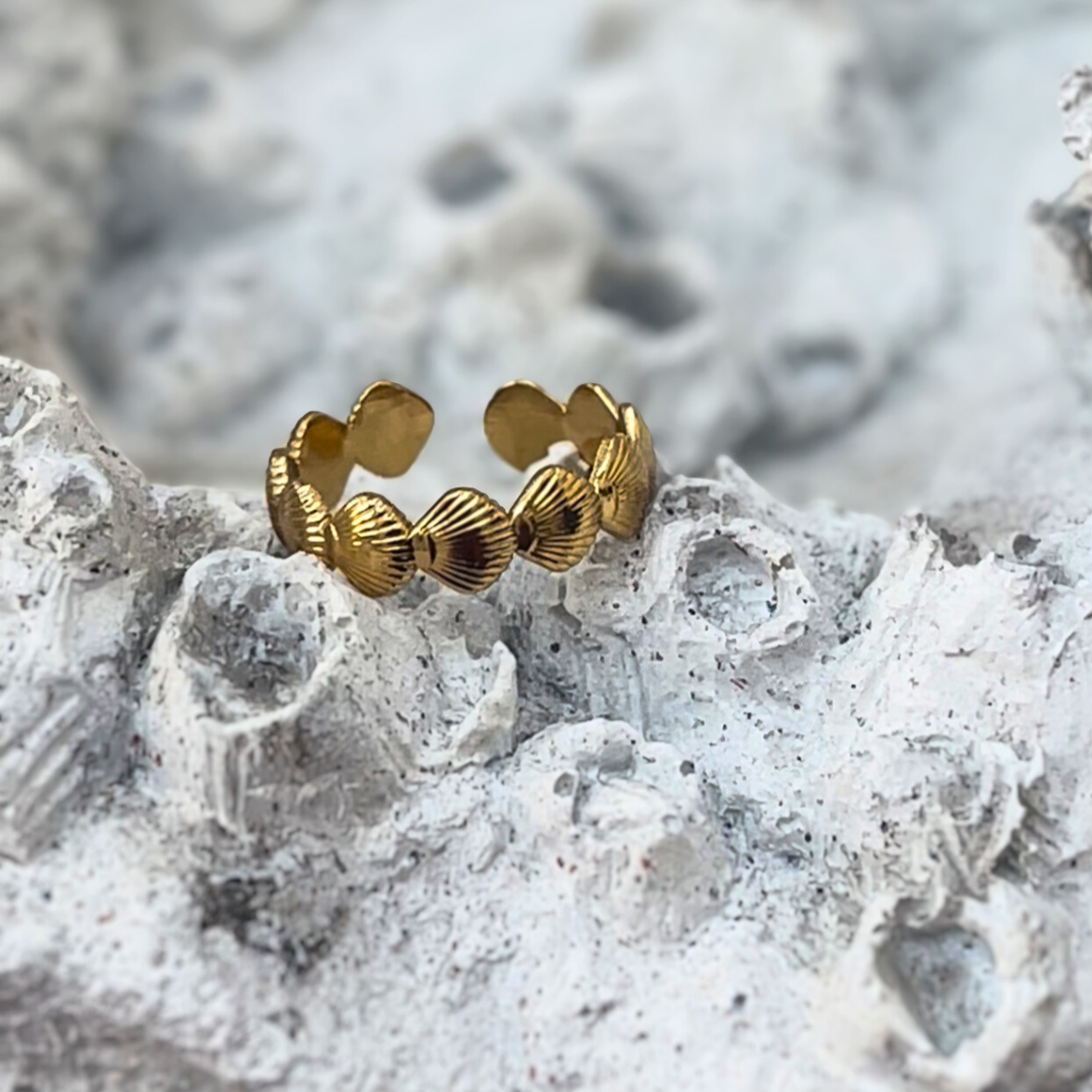 Shoreline Adjustable Ring